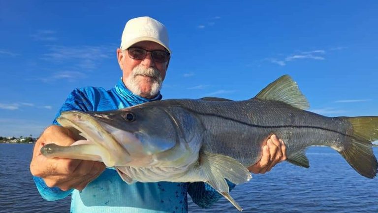 Redfish are catch & release only in IRL; Snook season is open for Treasure Coast anglers