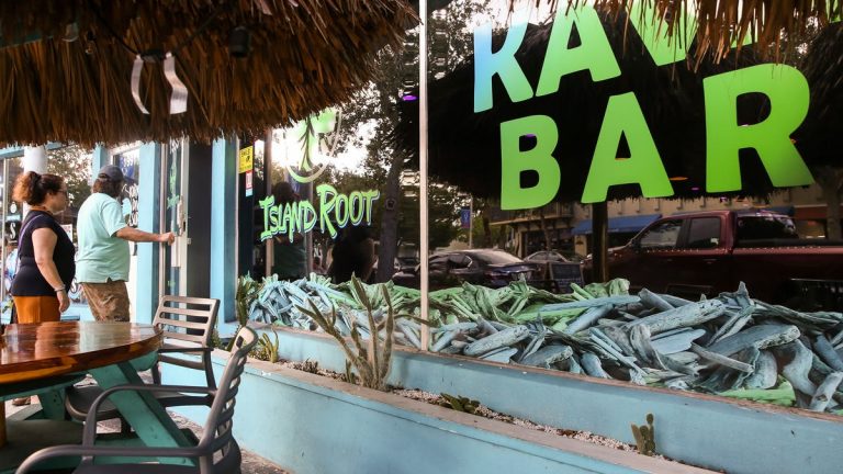 Good vibes and kava at Island Root Kava Bar in Jensen Beach