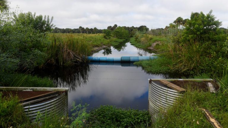 ‘Look at the water for evidence.’ Data proves Florida pollution prevention not working