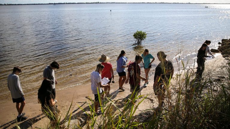 Martin County science students get hands-on experience in Indian River Lagoon