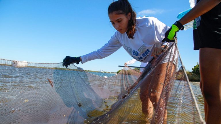Indian River County science students get hands-on experience in Indian River Lagoon