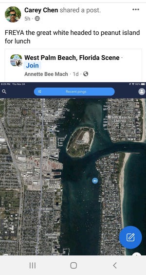 A Facebook post shared by marine artist Carey Chen of Jupiter shows where Freya's erroneous ping showed up Nov. 24, 2022.