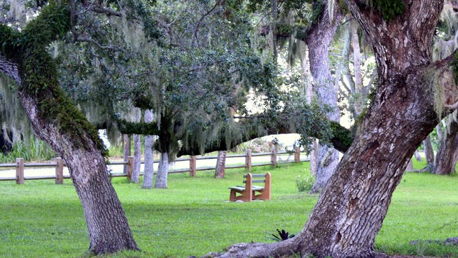 Crystal Samuel says this is the best seat at Old Fort Park in Fort Pierce.