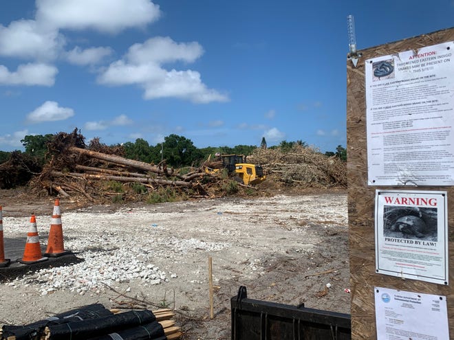 A longtime pine hammock was cleared for a new subdivision in April 2022 off 27th Avenue, just south of Fourth Street, in unincorporated Indian River County.