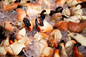 The most common way to prepare stone crabs is to sauté or steam the claws and serve them with butter and lime or a creamy mustard sauce.