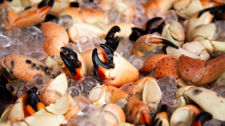 10 best seafood restaurants and markets on Treasure Coast for stone crabs and more