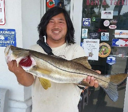 Steven Murphy stands outside the Granada Pier Bait & Tackle with a snook that snuggled into that legal slot of 28-32 inches. Just in time, too, because beginning this week snook went into a six-week catch-and-release season.