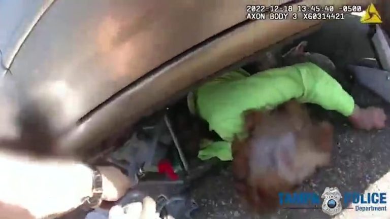 Body cam shows Tampa police rescue 80-year-old and a toddler pinned under car