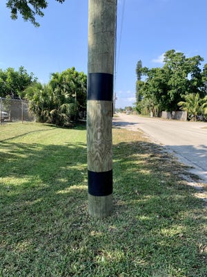 To help prevent iguanas, raccoons and squirrels from climbing wooden power lines, Lake Worth Beach has wrapped many poles with thick, sturdy plastic that animals and reptiles can't grip with claws.