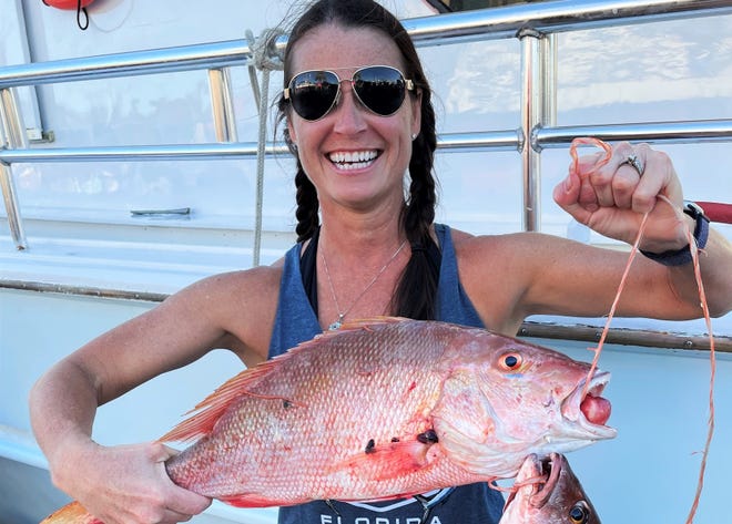 Snapper is a common catch when you head offshore on the Sea Spirit.