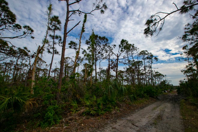 This is a view of the lot at 5366 Western Dr. In St. James City.  Real estate owners report scammers are listing their properties for sale without their permission.