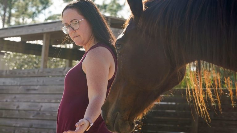 ‘Sentient beings,’ horses to provide therapy for trauma survivors in new program in Palm City