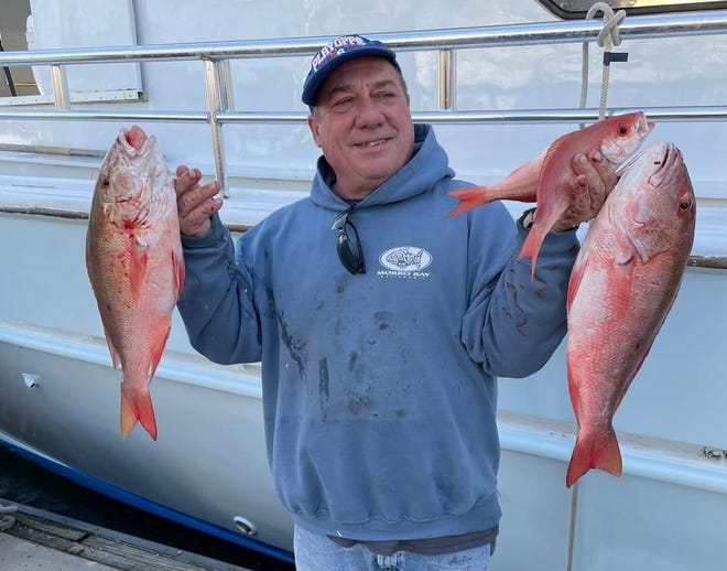 Recent offshore outings aboard the Sea Spirit have paid off with a variety of snapper.