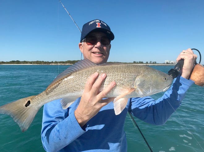 A customer of Capt. Tim Simos of HookaSnook.com in Fort Pierce shows off a nice redfish he caught & released Jan. 7, 2023.