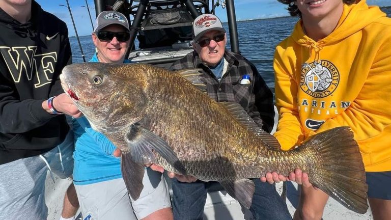 Calm seas & warm weather will benefit Space Coast anglers