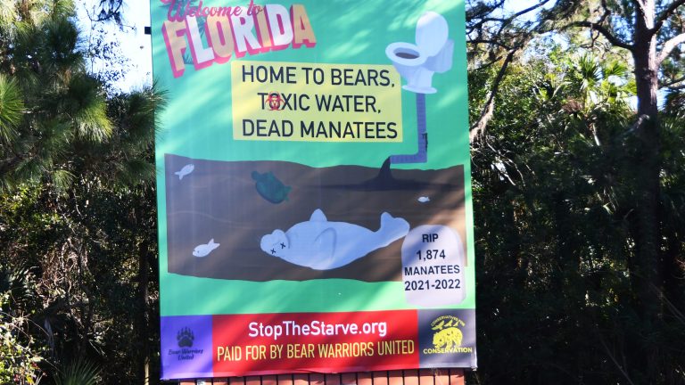 Bear group puts up manatee billboards on I-95
