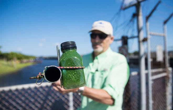 John Cassani, the Calusa Waterkeeper takes a sample of algae from on east side of the Franklin Locks  on Tuesday, May 18, 2021. It will be tested to see if it is Cyanobacteria or blue-green algae.