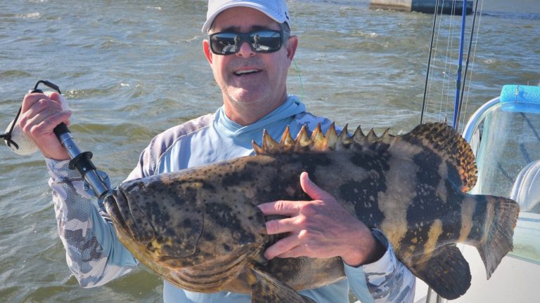 FWC fishing regulations allow keeping one goliath grouper with permit starting March 1