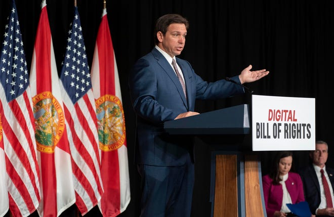 Gov. Ron DeSantis has said he is defunding DEI programs at the state's universities.