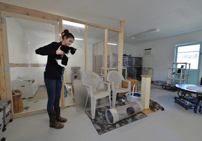 Kelsie Colonna, shelter manager at the Fort Pierce Animal Adoption Center tends to the cats in the shelter's new cat cottage and kitten corner on Monday, Feb. 6, 2023, in Fort Pierce.