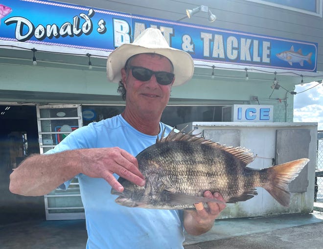 Here's Carl with a nice sheepshead.