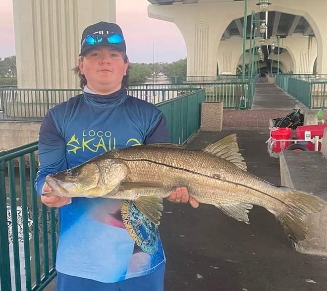 Chandler Zorc of Vero Beach with an overslot snook, 36 inches, also six hours too early for harvest season at the Merrill Barber Bridge in Vero Beach.