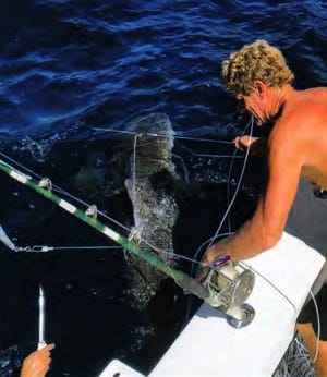 John R. Moore Jr., pictured handling a shark, was convicted of stealing fishing gear. He'll spend no time in prison.