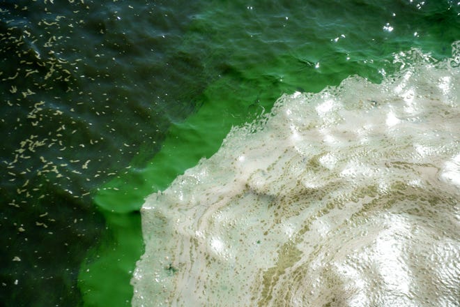 A bloom of cyanobacteria, or "blue-green algae," swirls in Lake Okeechobee on Tuesday, April 13, 2021, at the Port Mayaca Lock and Dam in Martin County. Mycrocistin, a common toxin found in cyanobacteria, is hazardous to marine life, humans, pets and businesses, and can travel up to 10 miles through the air, according to a University of Florida study.