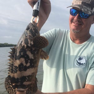 TCPalm outdoor columnist Ed Killer with a Goliath grouper he caught & released in the Indian River Lagoon in April 2021 while fishing with Capt. Mark Dravo of Y-B Normal charters.