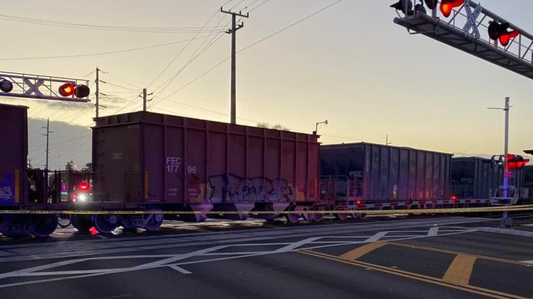 Pedestrian struck and killed by freight train on tracks near 12th Street crossing