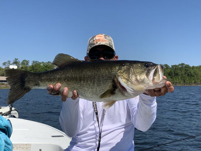 That's local Capt. Ray Cardona hiding behind a bass big enough to be furniture. It checked in at 10-plus pounds and was caught on a private lake on a spinnerbait, Ray says.