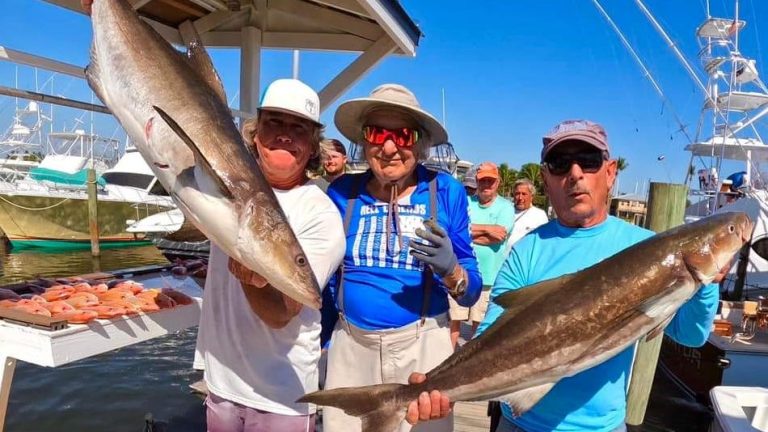 Florida fishing: Cobia battles ongoing; trout, snapper and sharks are biting too