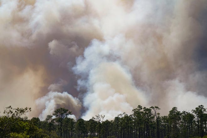 A wildfire broke out Thursday afternoon March 23, 2023, on the John C. and Mariana Jones/Hungryland Wildlife and Environmental Area off Pratt Whitney Road in Martin County near Indiantown.