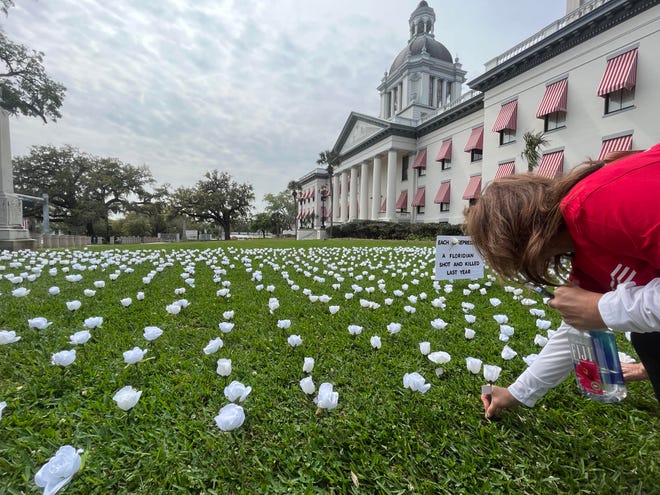 After marching to the Florida Capitol on Thursday, March 9, 2023, Moms Demand Action placed white roses in the grass, each symbolizing a Floridian shot and killed last year. They were protesting Republican lawmakers' efforts to allow permitless concealed carry.