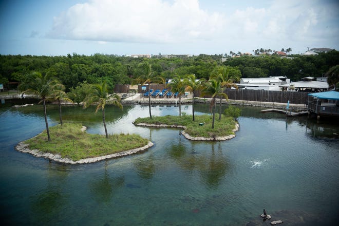 The staff of Florida Oceanographic Society, including Executive Director Mark Perry, show off the new Ocean EcoCenter on Tuesday, July 13, 2021, at the Florida Oceanographic Coastal Center on Hutchinson Island in Martin County. The center features aquariums, interactive exhibits, digital displays and more. "The main goal is to not just educate people... (but) to try to have them get a sense of why (Florida's coastal ecosystems) are so valuable and why we need to take care of it," Perry said. The center opens to the public at 10 a.m. on Friday, July 16. For more information, go to www.floridaocean.org.