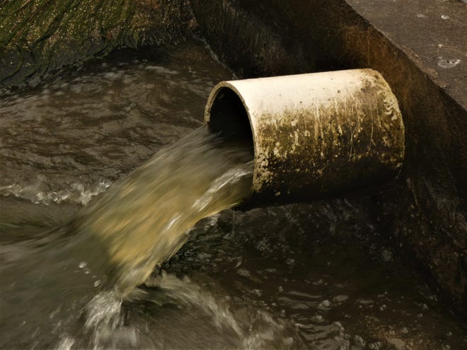 A pipe flows from a pond at Sand Point Park in Titusville, after a late December 2020 sewage spill was implicated in a die off of thousands of fish.