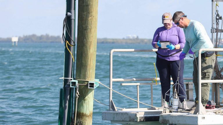 Candid observations: Here’s what I saw during a three-hour tour on the Indian River Lagoon