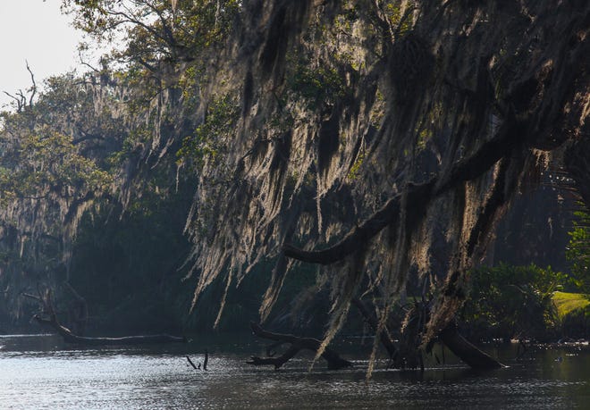 Scenes from the Indian River Lagoon on Monday, March 13, 2023.