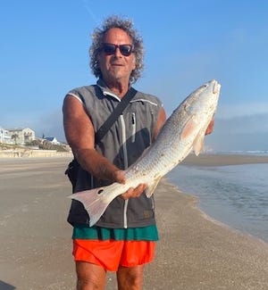 Marco Pompano, going off- again, this time with a top-of-slot redfish caught in Wilbur By The Sea.