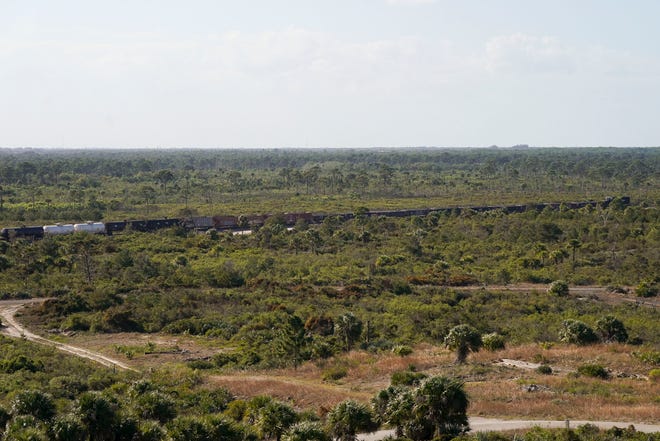 A Florida East Coast Railway train, with tanker cars, travels north through Jonathan Dickinson State Park on Friday, March 24, 2023, in Martin County. Florida East Coast Railway trains carry chemicals considered to be hazardous, although it's unclear what chemicals specifically. Beyond two examples given on the railroad's website—salt and plastic pellets—Florida East Coast Railway doesn't specify what chemicals it transports. It does, however, list "hazardous material" and "petroleum products" among the material it ships. It's extremely rare for trains to spill toxic chemicals along Florida's east coast, according to Federal Railroad Administration data. But it has happened.