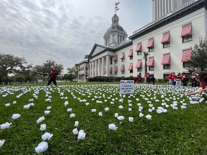 After marching to the Florida Capitol on Thursday, March 9, 2023, Moms Demand Action placed white roses in the grass, each symbolizing a Floridian shot and killed last year. They were protesting Republican lawmakers' efforts to allow permitless concealed carry.