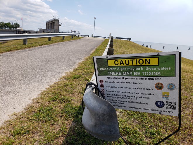 Signs warn people about toxic cyanobacteria, often called blue-green algae, at the Port Mayaca Lock & Dam.