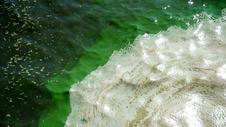 Lake Okeechobee discharges to Stuart suspended for second time for toxic algae