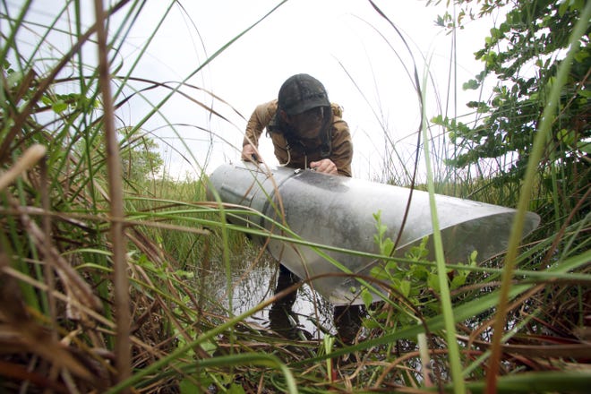 Lawrence Reeves, a researcher with the University of Florida Entomological Laboratory in Vero Beach, uses an aspirator to collect mosquitoes in a marsh near Miami.
(Photo: CONTRIBUTED PHOTO BY LAWRENCE REEVES, UF)