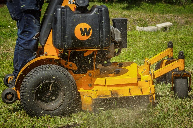 Scott Lewis Gardening & Trimming personnel now clean their mowing equipment with a degreasing and disinfecting mixture that contains Lysol to help prevent the spread of lethal viral necrosis in susceptible St. Augustine grasses. Grass clippings are blown from the cutting chute during a demonstration of grass mowing at the company's headquarters in West Palm Beach, Fla, on March 31, 2023.