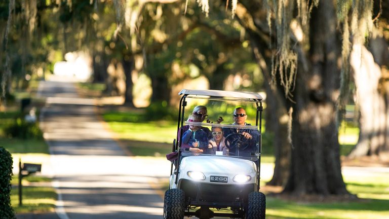 The golf cart driving age in Florida is currently 14 years old. That may soon change