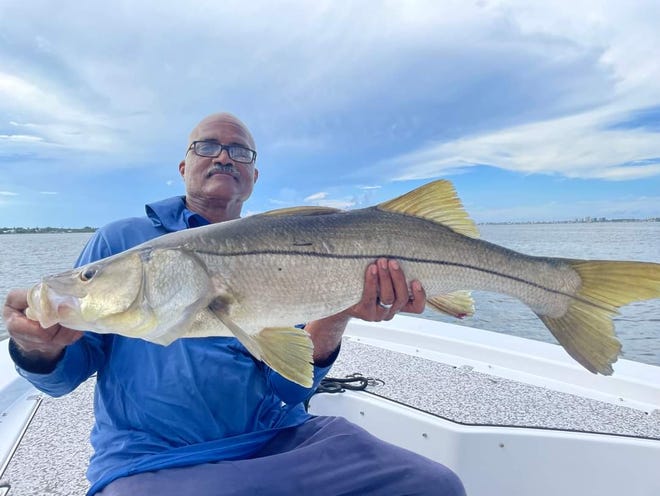 Snook, like this one caught & released with Mandalay Charters' Capt. Jeremy Neff in Stuart Sept. 18, 2022 is pretty typical of the snook action here this week.