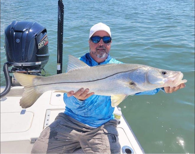 Snook are biting all along Florida's Atlantic Coast. This one, caught Sept. 12, 2022 off Port Canaveral with Capt. Jon Lulay is indicative of snook also caught along hte Treasure Coast.