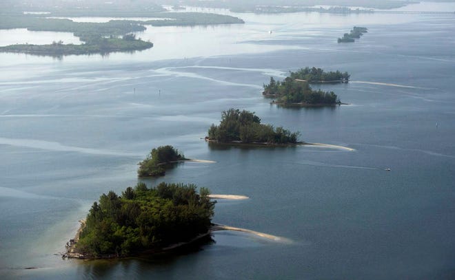 A stretch of the spoil islands in the Indian River Lagoon.