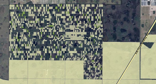 A screenshot of a Martin County Property Appraiser map of the Palm Beach Heights area in Pal Mar shows a mix of private and public parcels that are unmarked in-person. The yellow and green boxes are publicly owned lands.